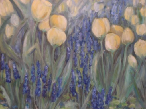 Bild-18: Gelbe Tulpen