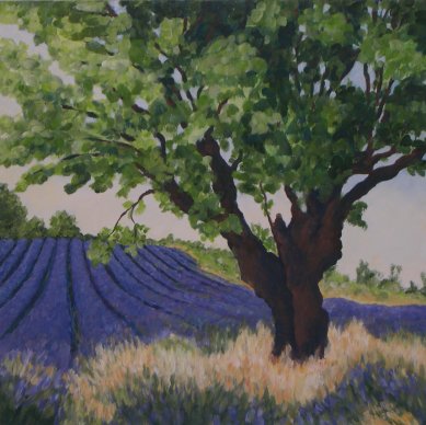 Bild-11: Dächer von Sainte Clair